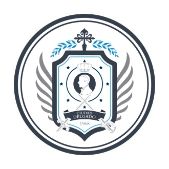 insinia ciudad delgado